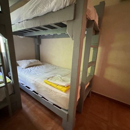Pecari 26 Lägenhet Cancún Exteriör bild