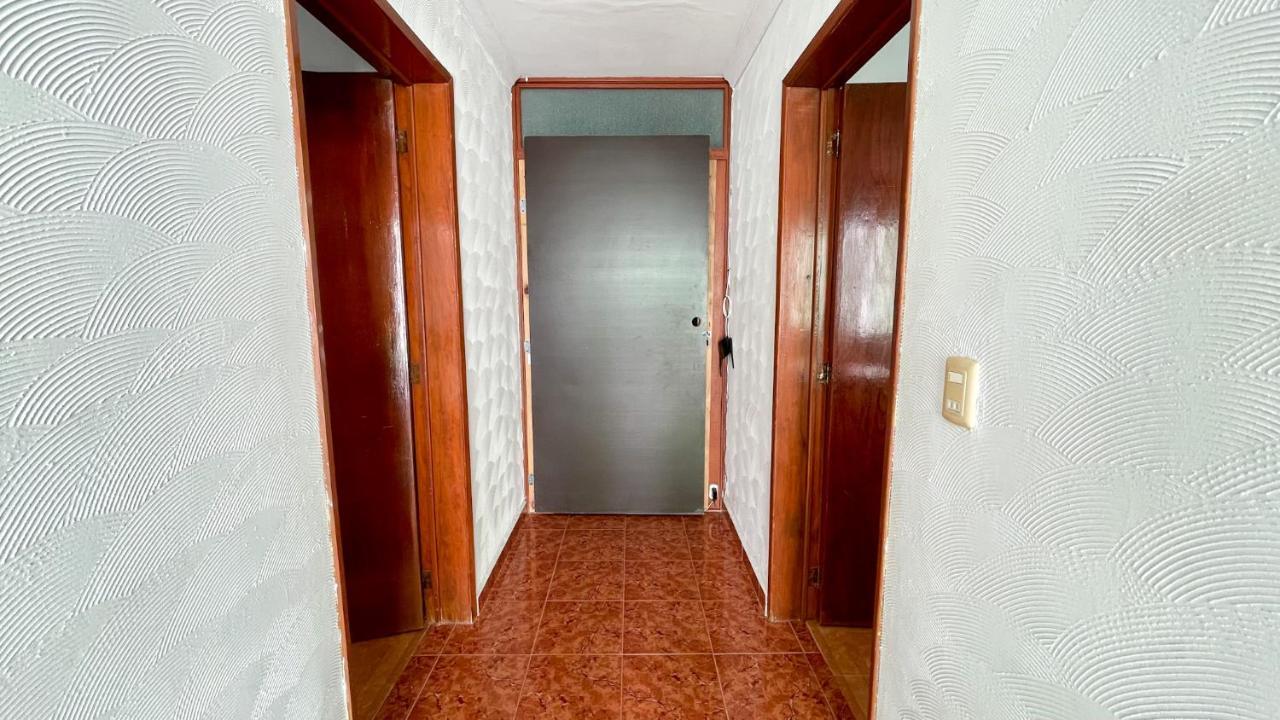 Pecari 26 Lägenhet Cancún Exteriör bild