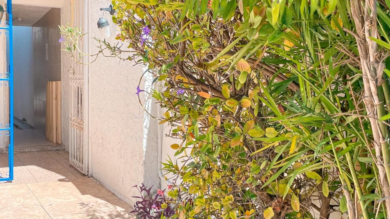 Pecari 26 Lägenhet Cancún Exteriör bild