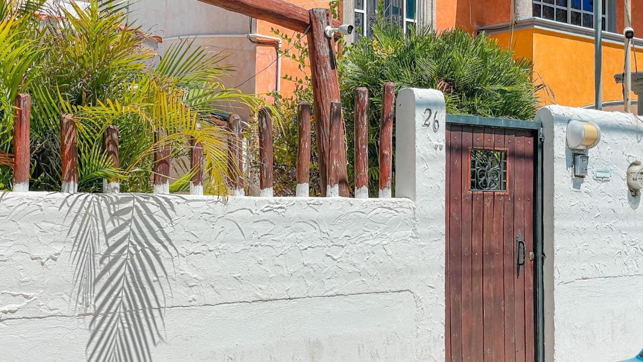 Pecari 26 Lägenhet Cancún Exteriör bild